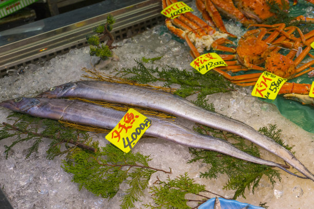 日本东京筑地鱼市出售的许多海鲜图片下载