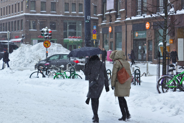 行人在大雪中。图片下载