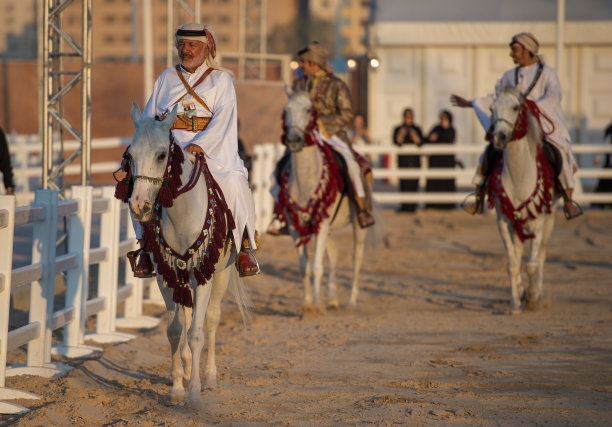 卡塔尔国庆节传统游戏回顾，多哈，卡塔尔，2014年12月图片下载