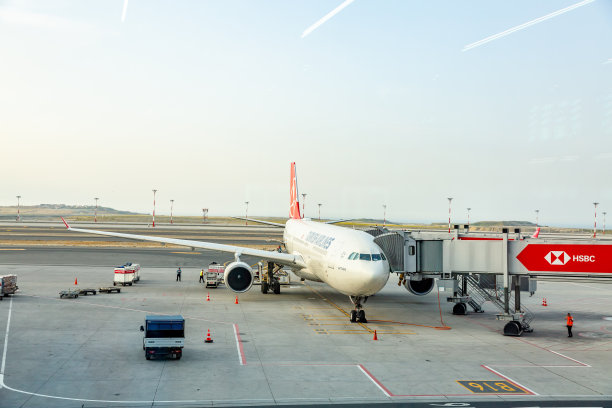 德里国际机场，印度德里。图片下载