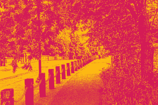 公园里的过桥人行道图片下载