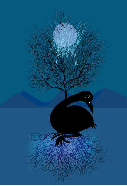 鸟、景观、鸭、图片下载