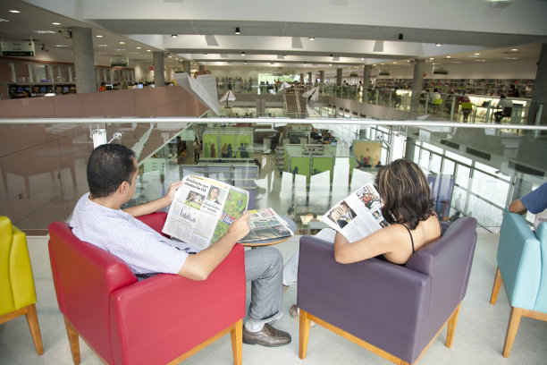 圣保罗公共图书馆概述。图片下载