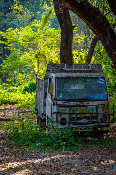 2020年2月，加尔各答附近豪拉市Shibpur的Acharya Jagadish Chandra Bose印度植物园，一辆被遗弃的无法移动的汽车图片下载