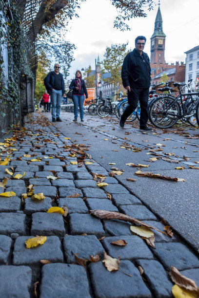 人行道上散落着冬天的落叶图片下载