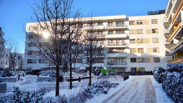 在一个寒冷的冬日早晨，一个现代化的住宅区。图片下载