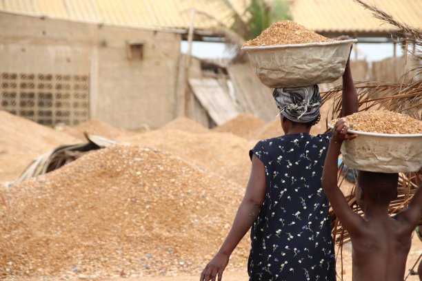 在西非多哥的阿韦波佐海滩，祖母和孙子头上顶着沉重的沙子。图片下载