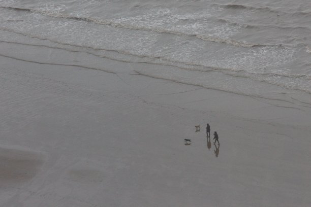 一个家庭和狗在海滩上的照片图片下载