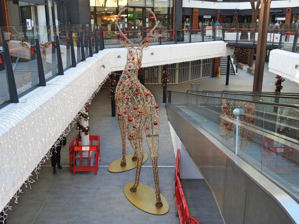 圣诞节raindeer图片下载