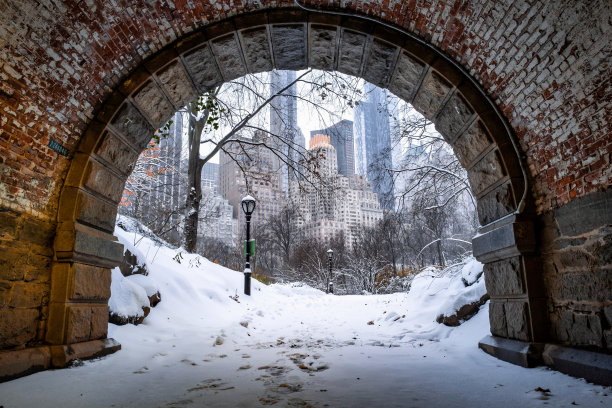 美国纽约市- 2020年12月17日:冬季早晨的暴风雪袭击了纽约中央公园图片下载