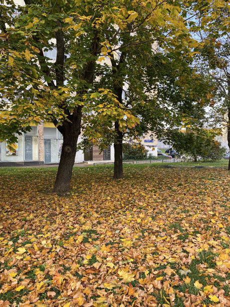 列宁斯基大街的秋天广场。2020年10月8日，俄罗斯莫斯科。手机照片图片下载