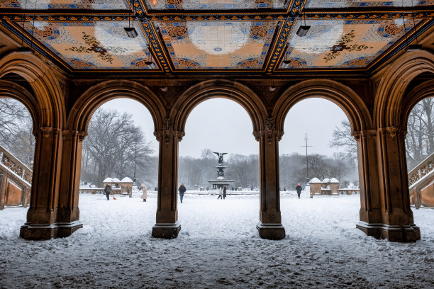 美国纽约市- 2020年12月17日:冬季早晨的暴风雪袭击了纽约中央公园图片下载