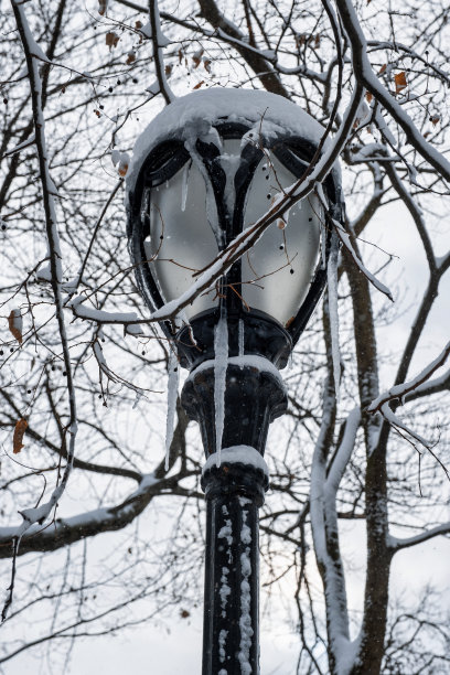 美国纽约市- 2020年12月17日:冬季早晨的暴风雪袭击了纽约中央公园图片下载