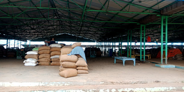 亚洲建筑建筑师的背景观点图片下载