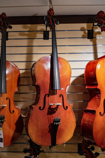 大提琴在商店出售图片下载