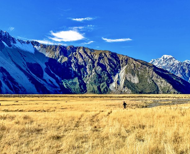 风景照片，包括一个慢跑者在去看新西兰库克山的Kea点图片下载