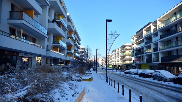 在一个寒冷的冬日早晨，一个现代化的住宅区。图片下载