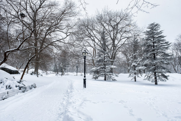 美国纽约市- 2020年12月17日:冬季早晨的暴风雪袭击了纽约中央公园图片下载