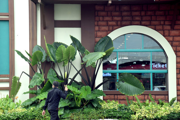 独特的厂房图片下载