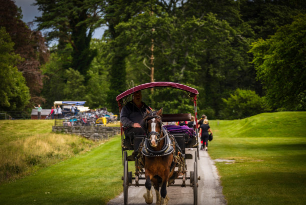 爱尔兰克里郡基拉尼镇附近的基拉尼国家公园图片下载