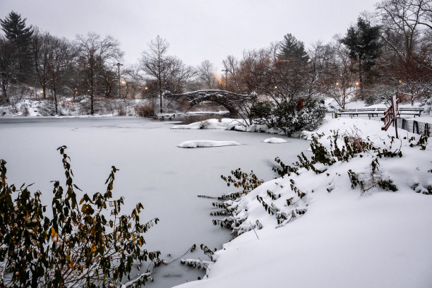 美国纽约市- 2020年12月17日:冬季早晨的暴风雪袭击了纽约中央公园图片下载