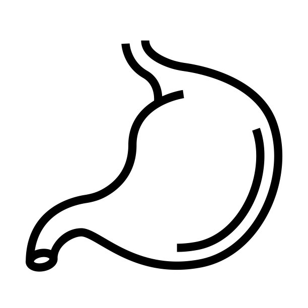 胃线图标，轮廓符号矢量插图图片下载