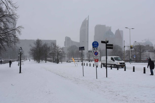 下雪，海牙天际线，荷兰欧洲图片下载