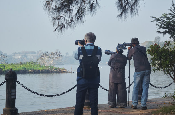 一个冬天的早晨，自然爱好者在拉宾德拉萨罗巴湖(以前的达库里亚湖)拍摄鸟类图片下载
