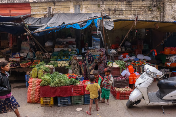 哈德瓦当地街道市场的观点图片下载