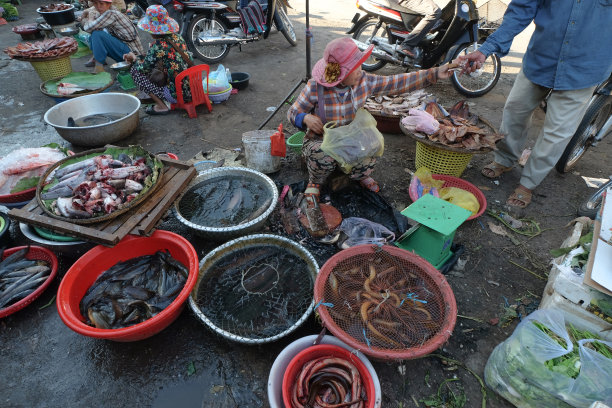 柬埔寨马德望市场，洞里萨湖的鱼和屠宰的肉一起出售图片下载
