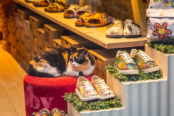 伊斯坦布尔主要景点（编辑用途）图片下载