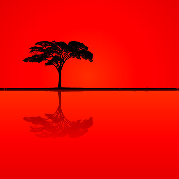 高度详细的树木剪影图片下载