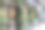 纽约市——2021年4月18日:植物、鲜花和橙子生长在商店入口处。复古外观的商店与长椅在前面图片下载