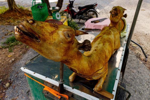 越南宁平的山羊肉图片下载