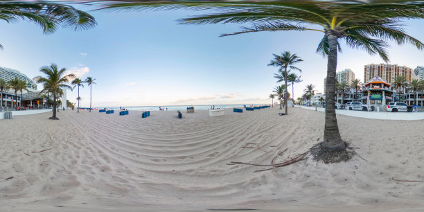 360 vr照片劳德代尔堡海滩的沙子和棕榈树图片下载