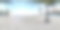 360 vr照片劳德代尔堡海滩的沙子和棕榈树图片下载