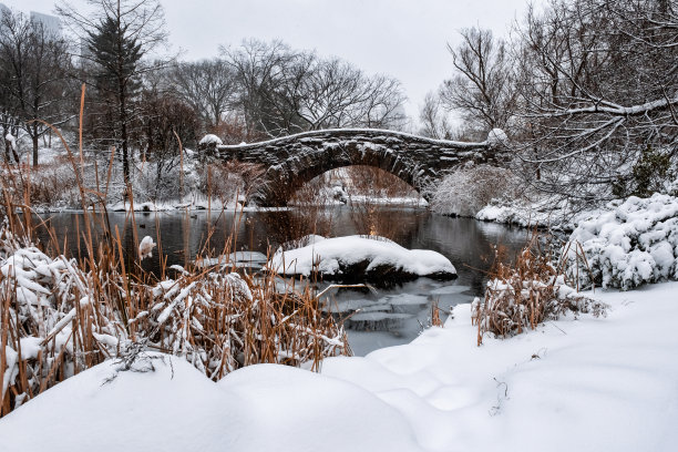 美国纽约市- 2020年12月17日:冬季早晨的暴风雪袭击了纽约中央公园图片下载
