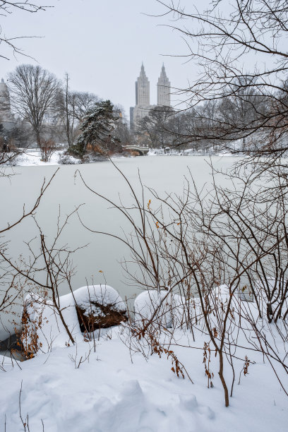 美国纽约市- 2020年12月17日:冬季早晨的暴风雪袭击了纽约中央公园图片下载