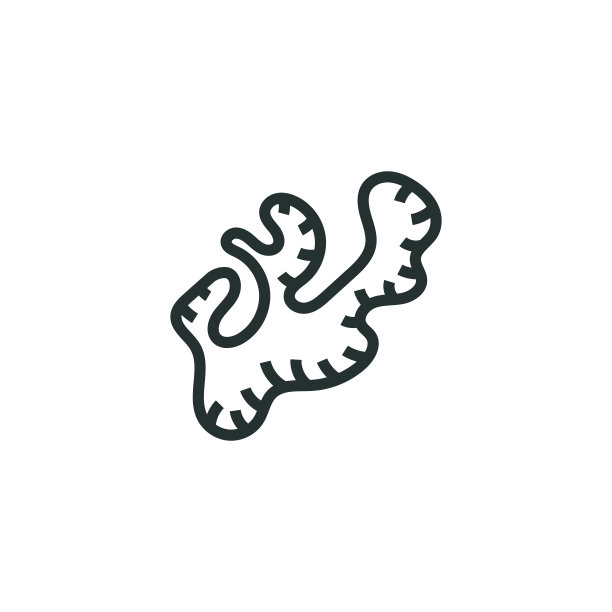 姜一行图标图片下载