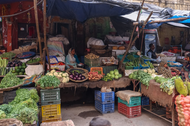 哈德瓦当地街道市场的观点图片下载