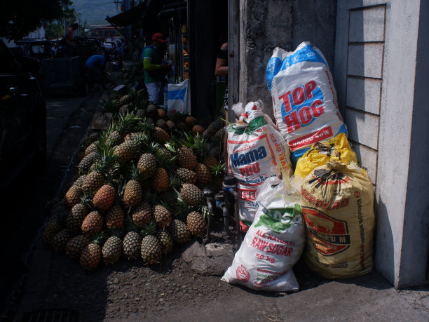 凤梨堆在路边的有机集市上，在路边的垃圾袋旁卖着小商贩。图片下载