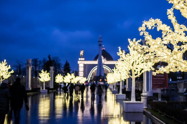 圣诞街道装饰在VDNKH公园，灯光树，晚上的照片，浅景深的领域图片下载