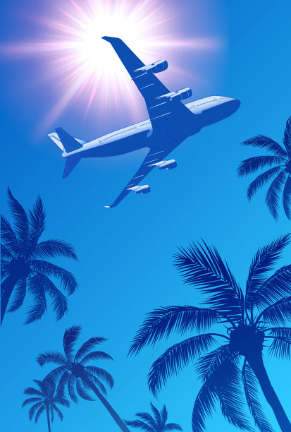 棕榈树上空的客机和天空中的太阳图片下载