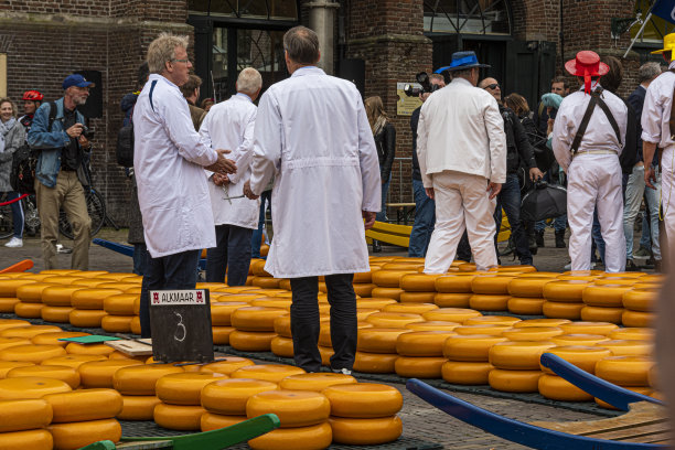 奶酪市场图片下载