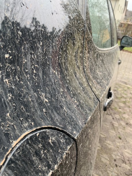 撒哈拉沙漠尘土图片下载