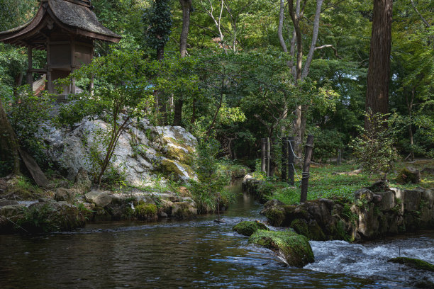 上贺茂神社图片下载