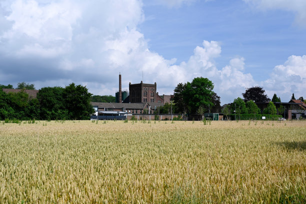 【破产图片下载