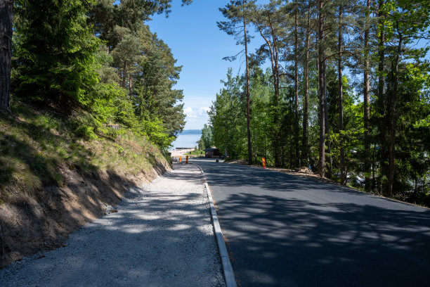 一个炎热的夏天，一条新铺的通往瓦坦湖的路。在松树树荫下拍摄的照片。Domsand海滩,Habo图片下载
