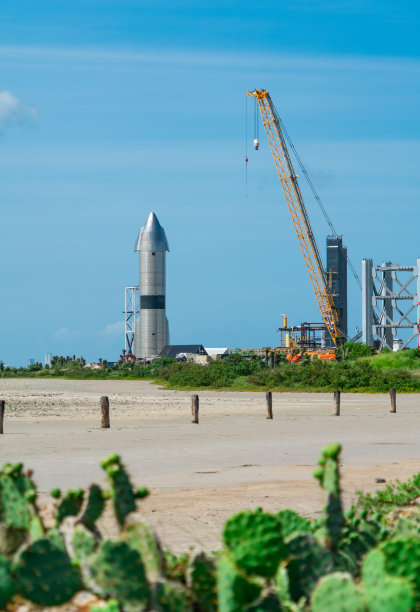 仙人掌，沙子和太空探索技术公司的宇宙飞船图片下载