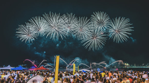 除夕之夜的景象(Réveillon)烟花在天空中爆炸。图片下载